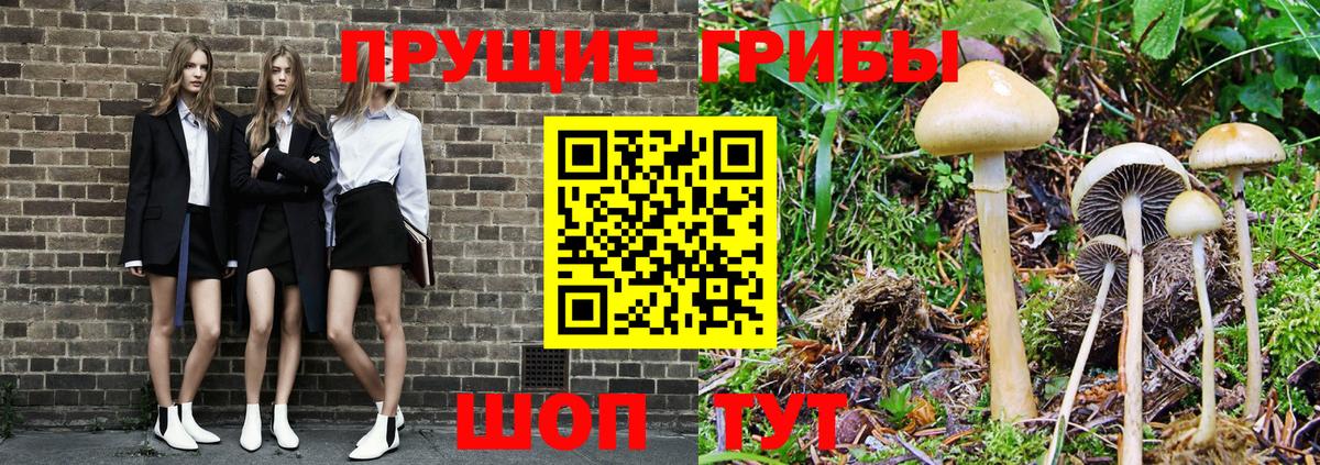 Псилоцибиновые грибы мицелий  наркотики  Долгопрудный  Вход с VPN 